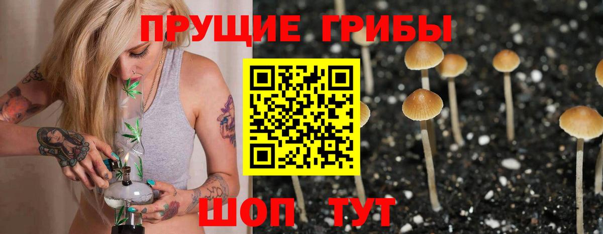 Псилоцибиновые грибы Cubensis Кириши